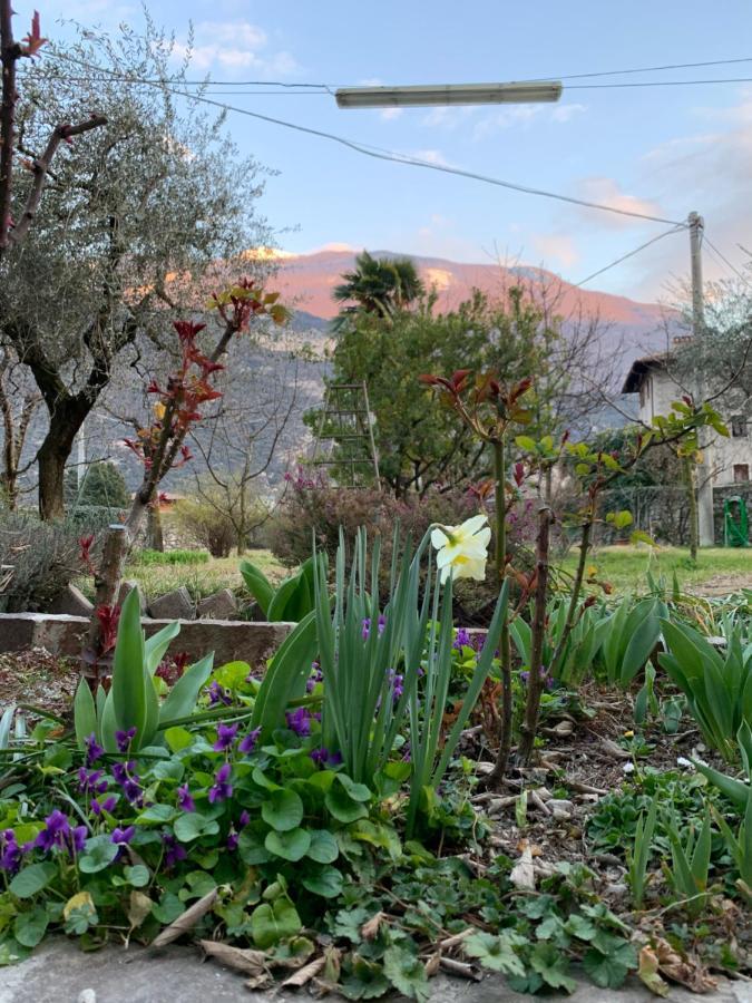 Hotel Garni Delle Rose Ceniga Εξωτερικό φωτογραφία