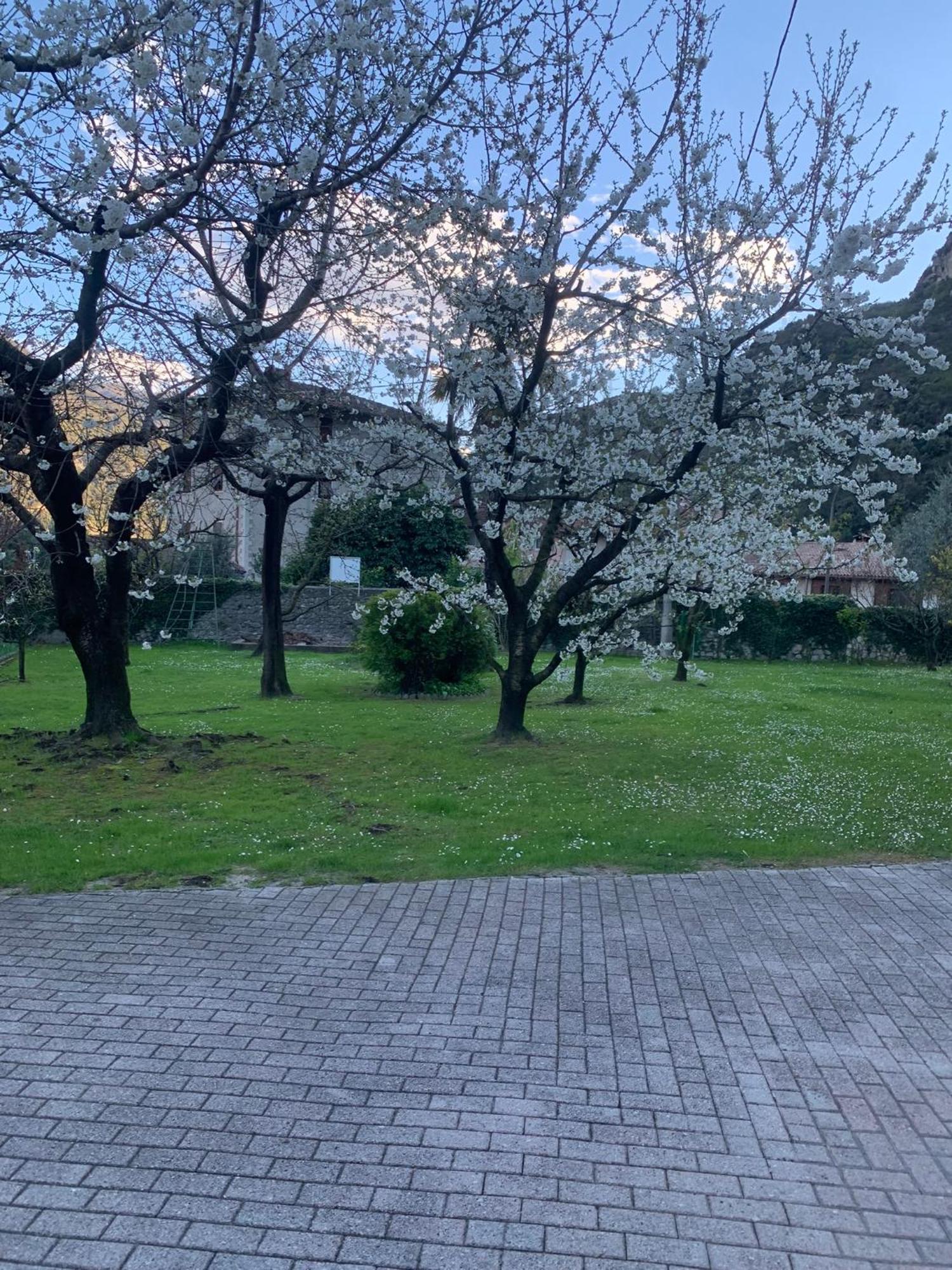 Hotel Garni Delle Rose Ceniga Εξωτερικό φωτογραφία